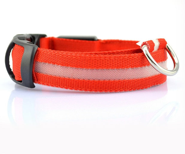 Safety Dog LED Collar - Big Bear Peak