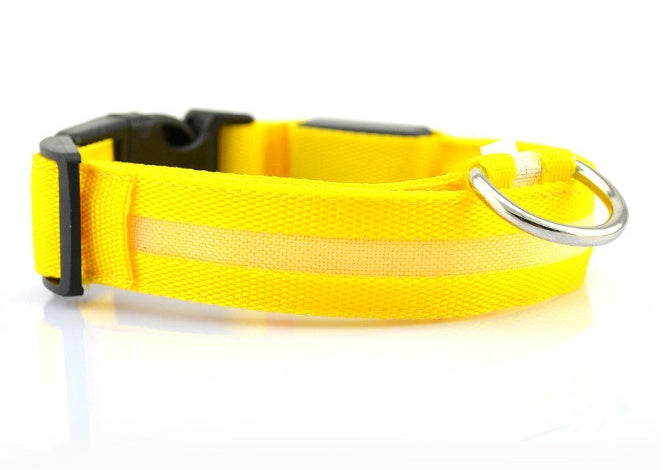 Safety Dog LED Collar - Big Bear Peak