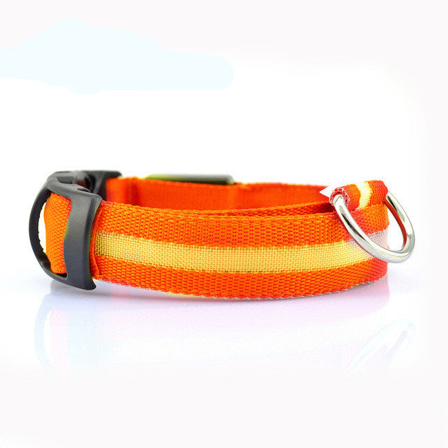 Safety Dog LED Collar - Big Bear Peak
