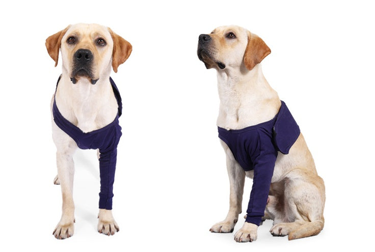 New Anti-licking Sleeve For Postoperative Recovery Of Dog Legs Pet - Big Bear Peak